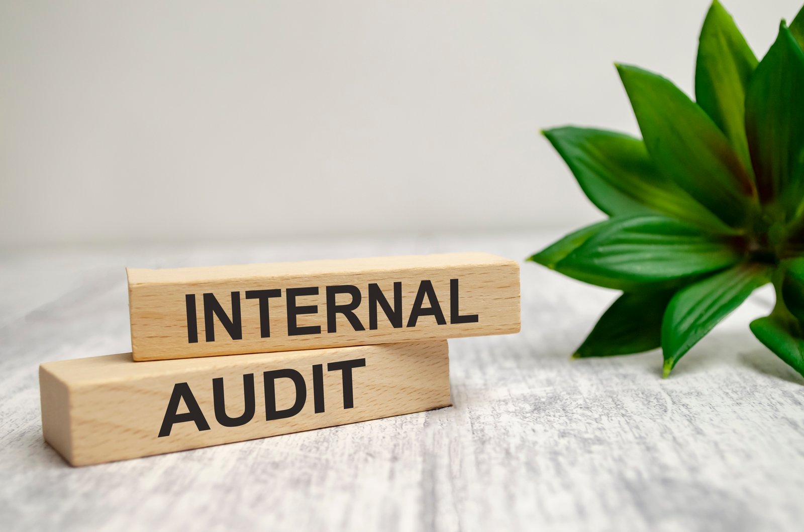 Internal Audit in Dubai Illustration