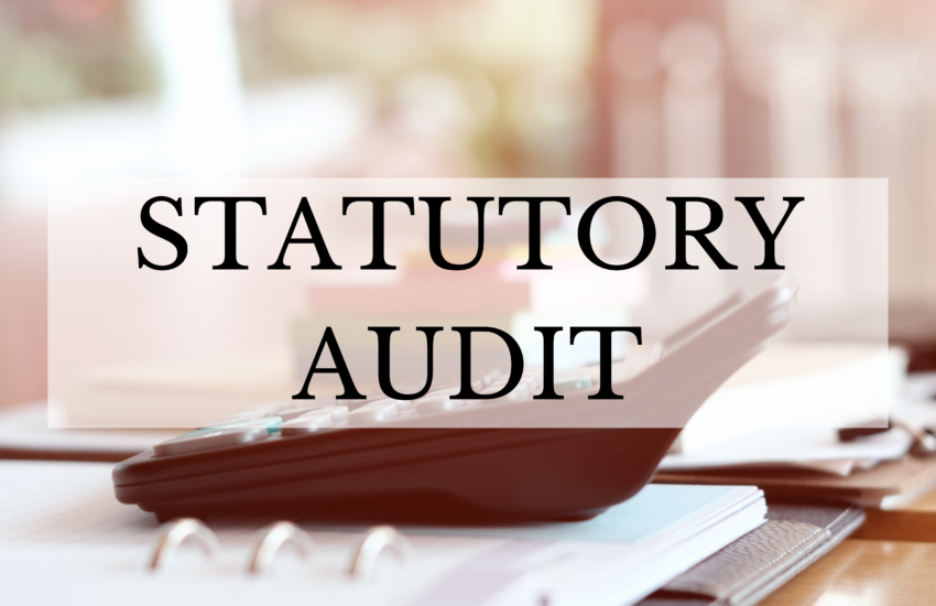 Statutory Audit Services Illustration